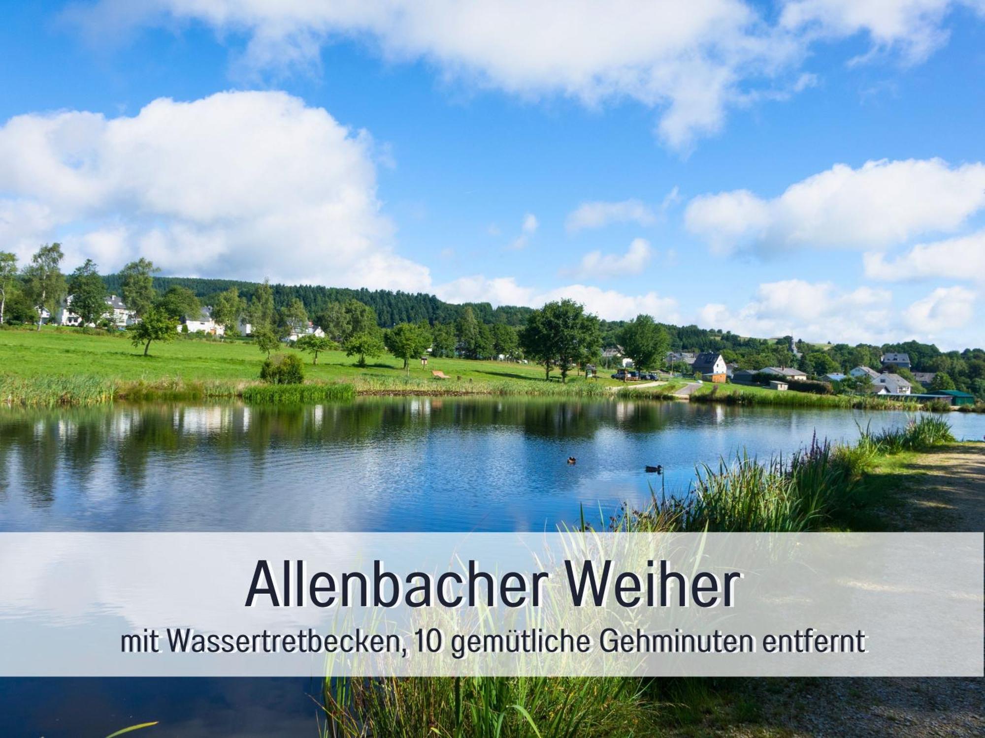 Natur-Chalet Zum Nationalpark Franz Inkl. E-Auto Allenbach Exteriér fotografie