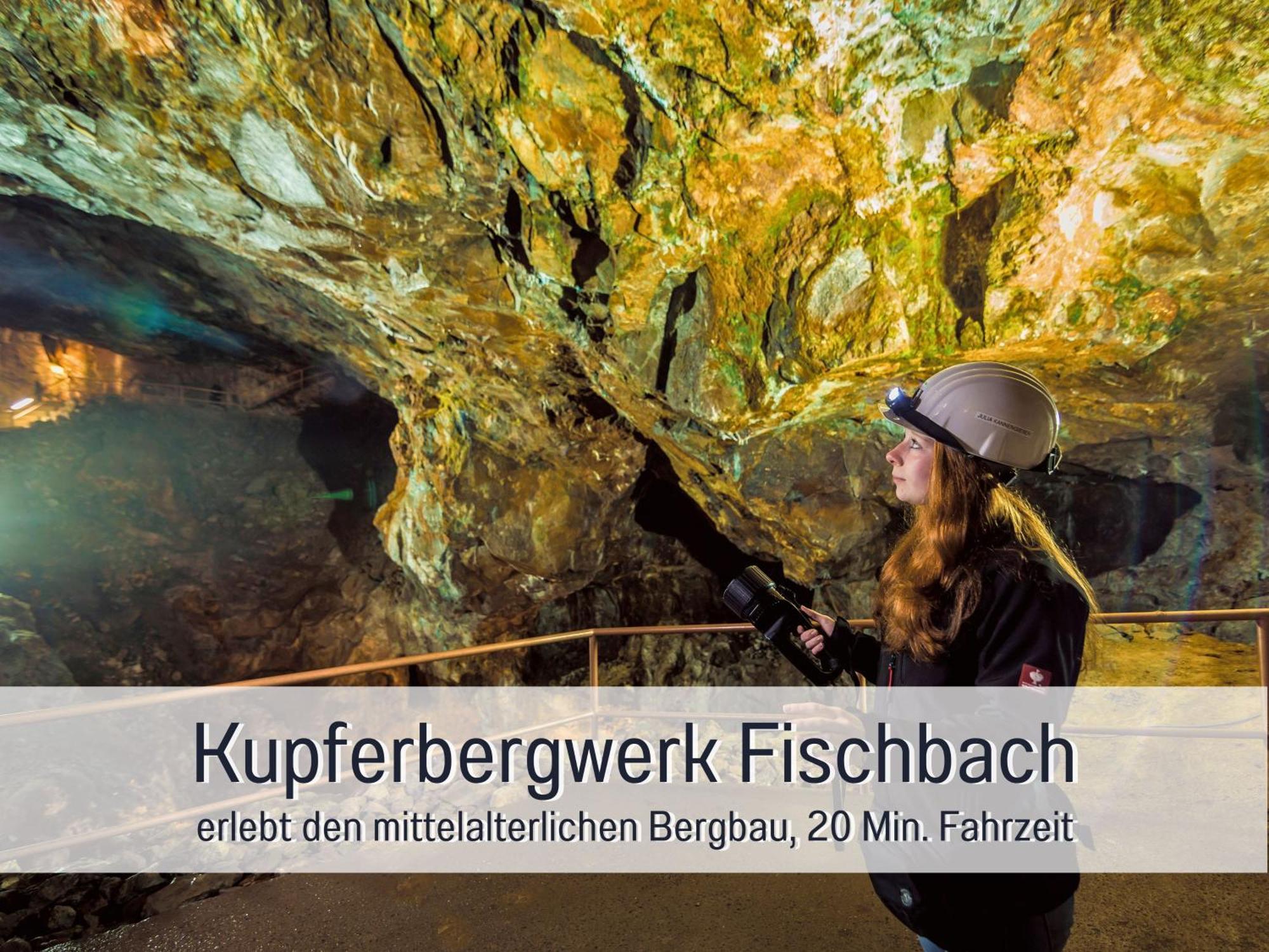 Natur-Chalet Zum Nationalpark Franz Inkl. E-Auto Allenbach Exteriér fotografie
