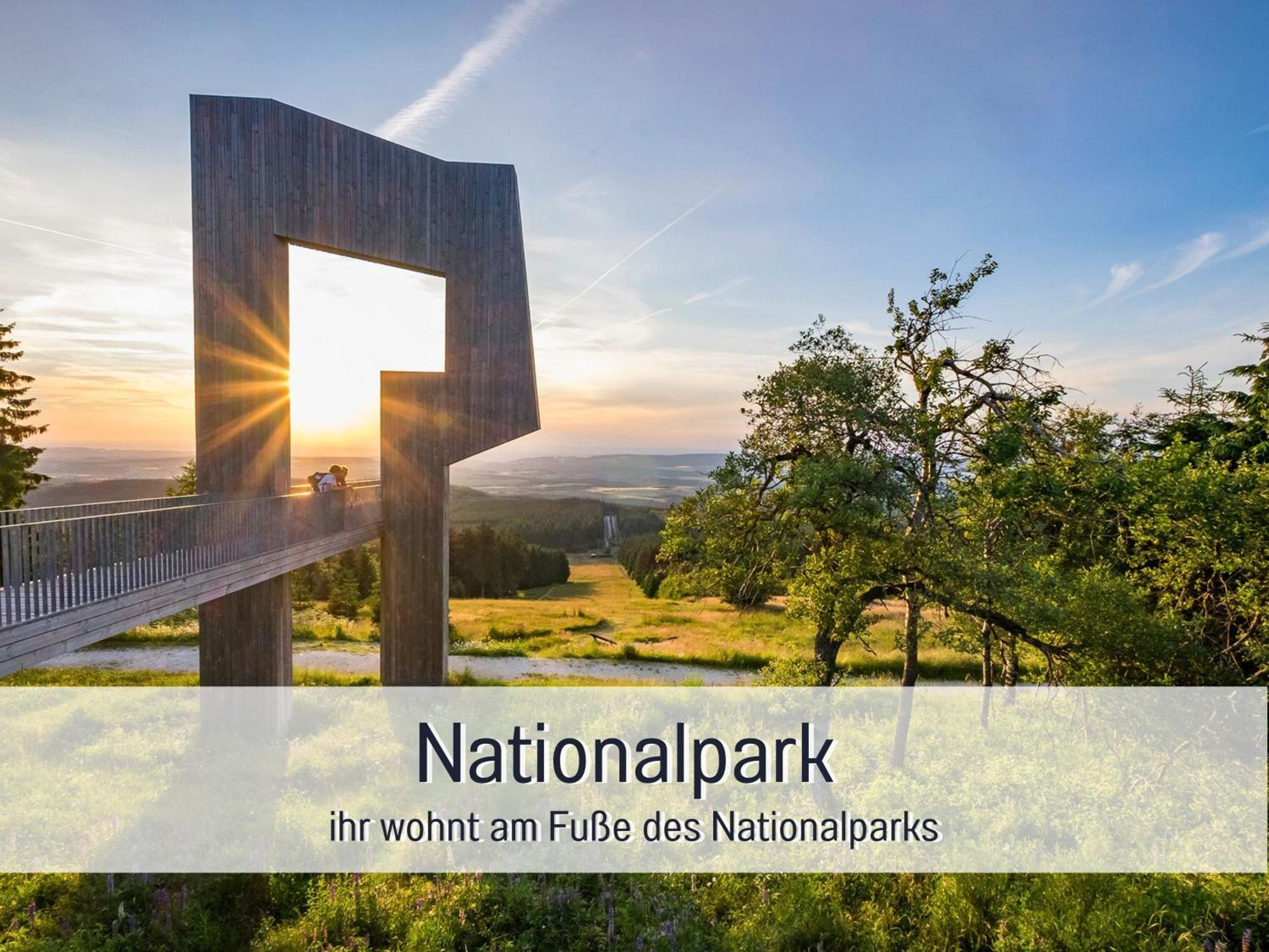 Natur-Chalet Zum Nationalpark Franz Inkl. E-Auto Allenbach Exteriér fotografie